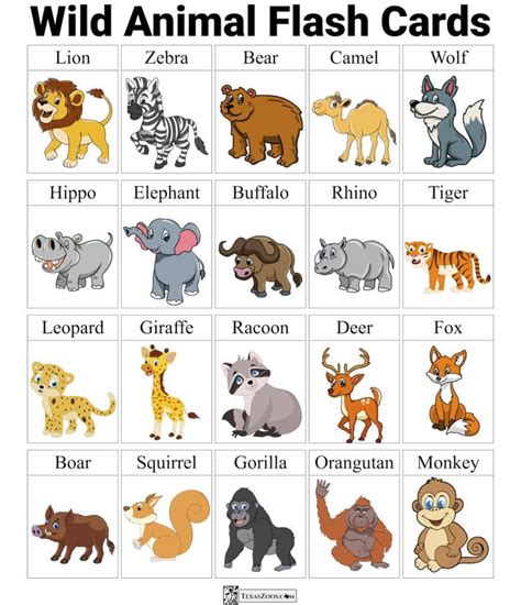 Zoo Flashcards: A Fun Way To Learn Animals! | Illinois Zoos