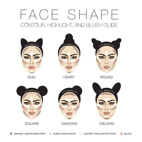 highlight and contour chart - Google Search in 2020 | Face shape contour, Face contouring ...