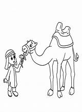 Cartoon Camel And Boy Coloring Page  Free Printable Pages sketch template