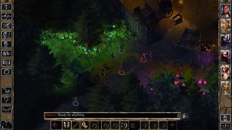 Baldur's Gate II: Enhanced Edition on Steam