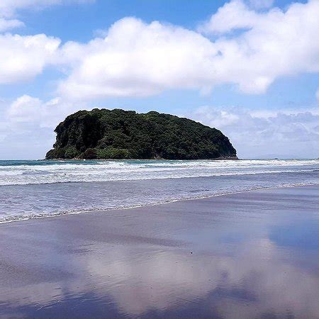 Whangamata Beach: 2018 All You Need to Know Before You Go (with Photos)