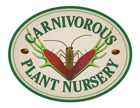Beginner's Set 1 — Carnivorous Plant Nursery | Carnivorous plants, Plant nursery, Plants