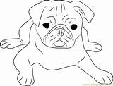 Printable Pug Coloring Pages  Coloring Home sketch template