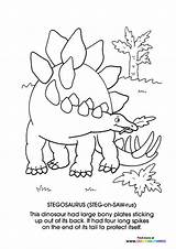 Stegosaurus  Coloring Pages For Kids sketch template