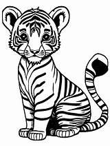 Tigers Coloring Page · Creative Fabrica sketch template