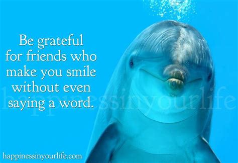 Dolphin Tale Quotes. QuotesGram