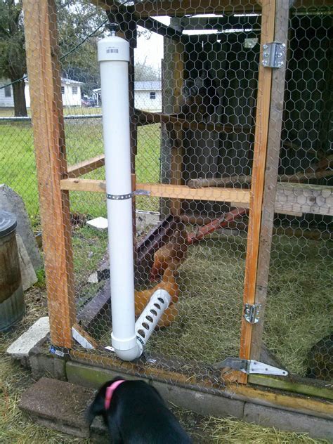 chadtheartist72: PVC Pipe Chicken Feeder