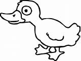 Yellow Duck Coloring Page Pages sketch template