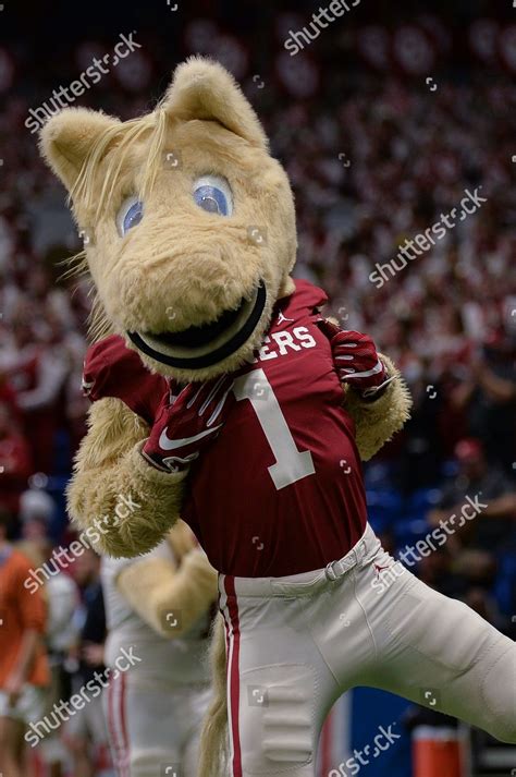 Oklahoma Sooners Mascot Boomer Performing During Editorial Stock Photo ...