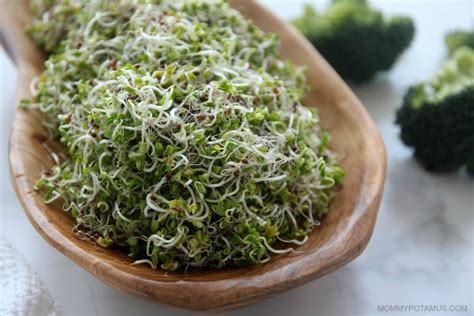 4 Benefits of Sulforaphane + Best Ways To Consume It