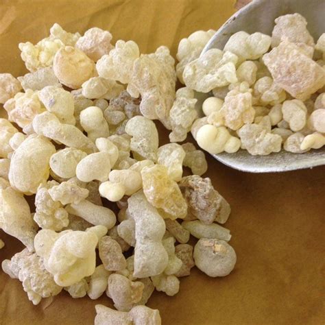 Frankincense resin Boswellia carterii edible incense pure