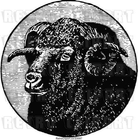 Ram Head Vector at Vectorified.com | Collection of Ram Head Vector free for personal use