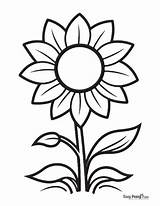 Brighten Your Day With Sunflower Color Pages sketch template