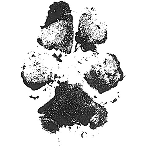 Custom Pet Paw Print Rubber Stamp – Red Cloud Studio