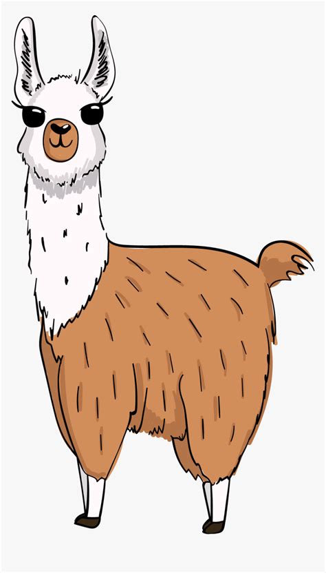 Llamas Llama Animals Ftestickers - Llama Cartoon Transparent Background, HD Png Download - kindpng