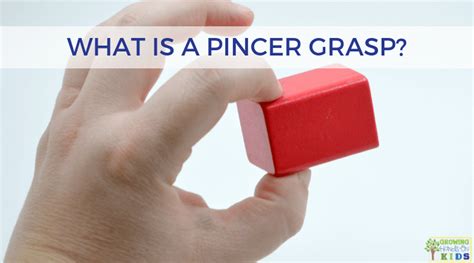 What is a pincer grasp? Development Plus Activity Tips and Tools