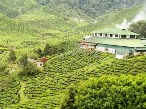 Kannan Devan Tea Museum Munnar- Timings, Entry Fee, Visiting Hours & Photos