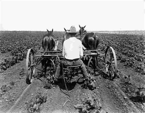 A história esquecida do populismo americano - O Cafezinho