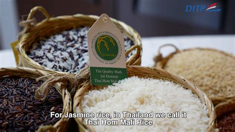 Win FREE Thai Rice for a year! + Thai Hom Mali Rice Buyer's Guide: Thai Rice for Life - YouTube