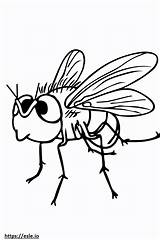Mosca Fofa Para Colorir sketch template