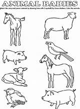 Baby Animal Match  Crayolacouk sketch template