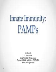 BBMS3005 L4 PAMPs 2 .pdf - Innate Immunity: PAMPs Lecture 4 Dr. Raven ...