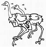 Ostriches Are Racing sketch template