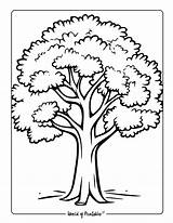Tree Coloring Pages  World Of Printables sketch template