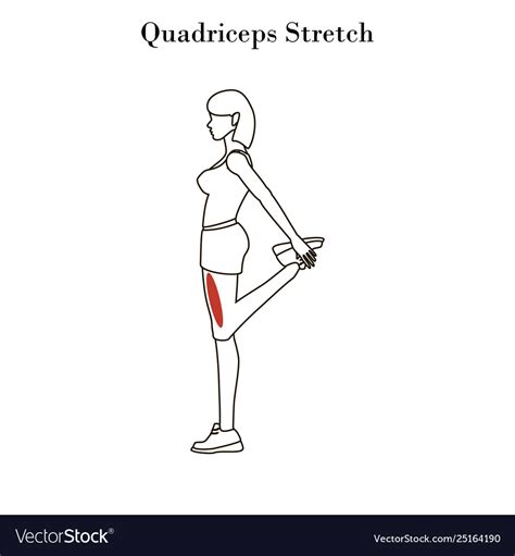 Quadriceps Printable Workouts Workout Exercise | Hot Sex Picture