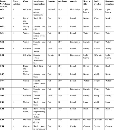 Characteristic features of the Actinomycetes isolates | Download ...