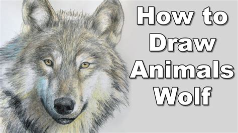 Realistic Animal Drawings Step By Step How To Draw A Realistic Horse ...