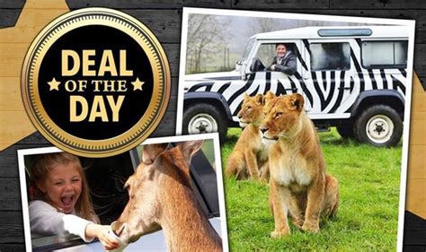 Get discounts on day tickets to Longleat Safari Park – but be quick ...