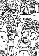 Backyard Coloring Pages sketch template