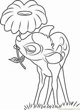 Bambi With Flower Coloring Page  Free Pages sketch template