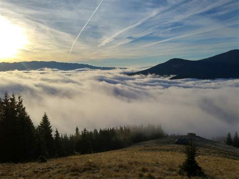 Wildlife Conservation - The Carpathians - 5-day holiday itinerary