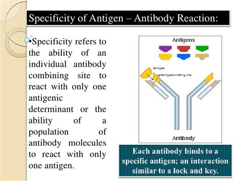 Antigen and antibody reaction