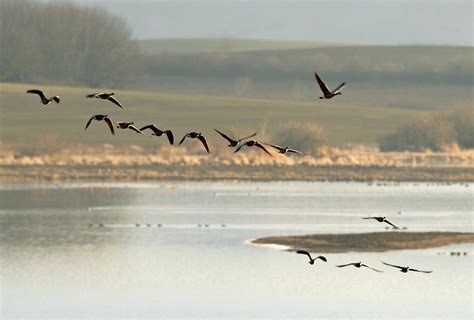 Building Back a Better Wetland. MAT Teams Use the Best Science to… | by USFWS Columbia Pacific ...