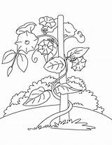 Flower Vine Coloring Pages At GetColoringscom  Free Printable sketch template
