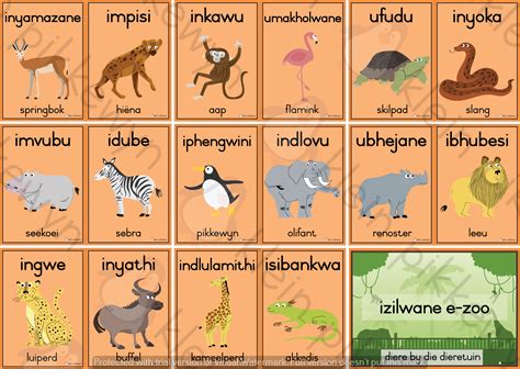 ISIZULU – AFR = IZILWANE E-ZOO / DIERETUIN DIERE • Teacha!