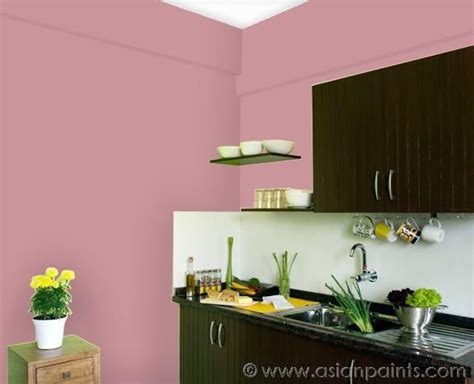 Living Room Old Rose Wall Paint - Perfect Image Reference - duwikw