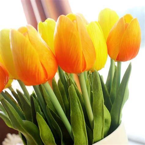 Hình Ảnh Hoa Tulip Vàng & Ý Nghĩa Của Hoa Tulip Màu Vàng Là Gi?