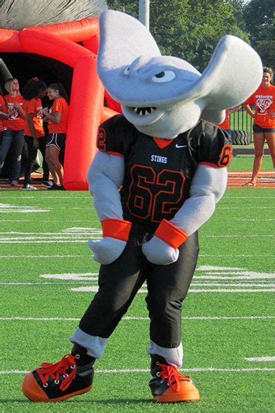 Weirdest High School Mascot Names - Funny High School Mascots