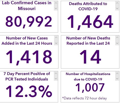 The Turner Report: Missouri passes 80,000 COVID-19 cases with 1,418 new ...