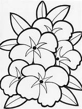 Free Printable Flower Coloring Pages For Kids  Best sketch template