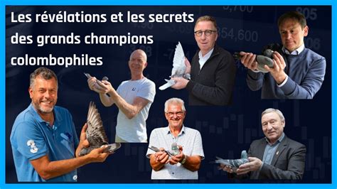 The revelations and secrets of pigeon racing champions - Marathon Pigeon