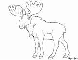 Free Printable Moose Coloring Pages  Skip To My Lou sketch template