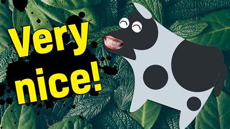 This Guess The Animal Emoji Quiz Is Wild! | Beano.com