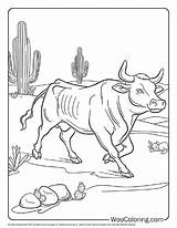 100  Bull coloring pages Free PDF To Print Woo Coloring sketch template