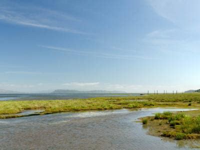 Daily Willapa Bay Fishing Reports (September 2024)