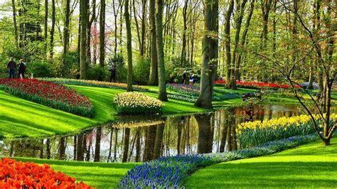 Keukenhof Gardens - beardtrimmerbabyliss